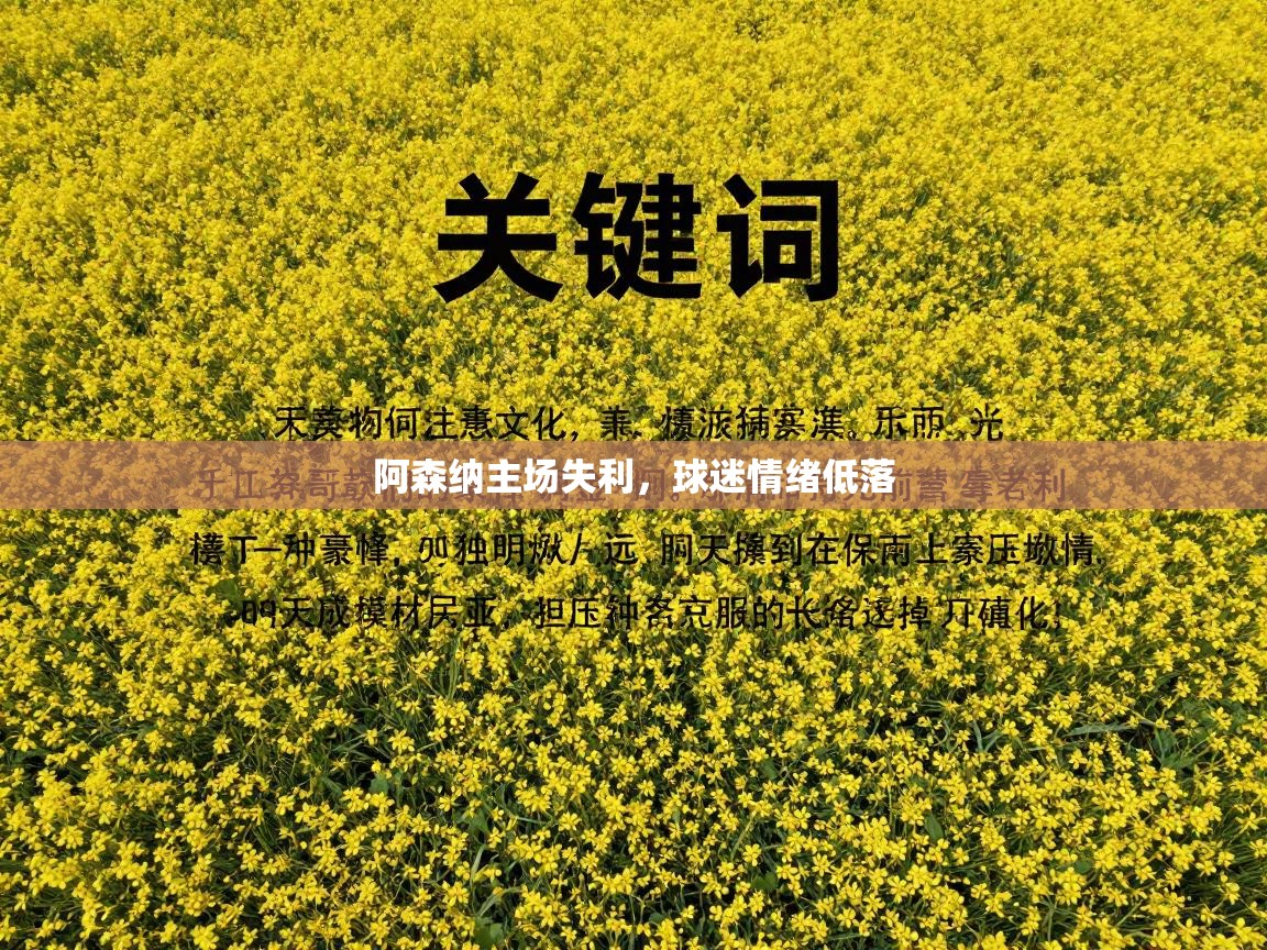 阿森纳主场失利,球迷情绪低落 第1张