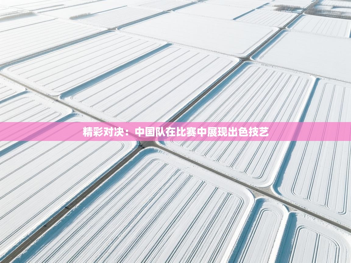 精彩对决：中国队在比赛中展现出色技艺  第1张