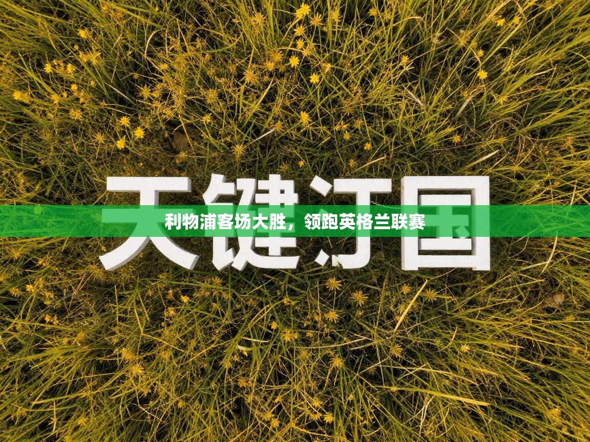 利物浦客场大胜,领跑英格兰联赛 第2张